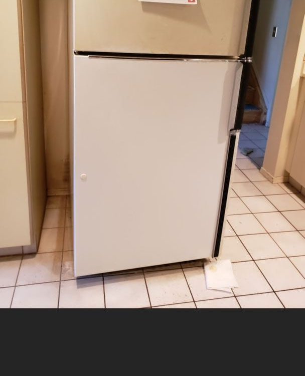 Resized_Screenshot_20181012-143744