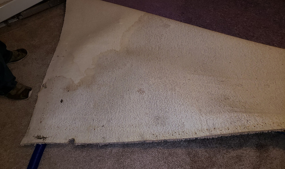 Flood & Water Damage (7)