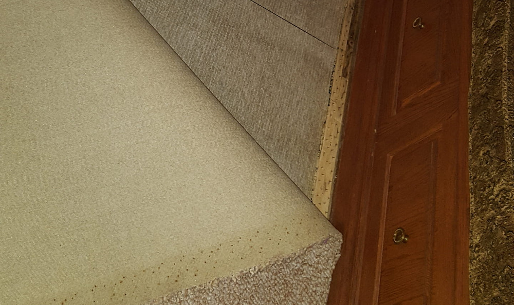 Flood & Water Damage (2)