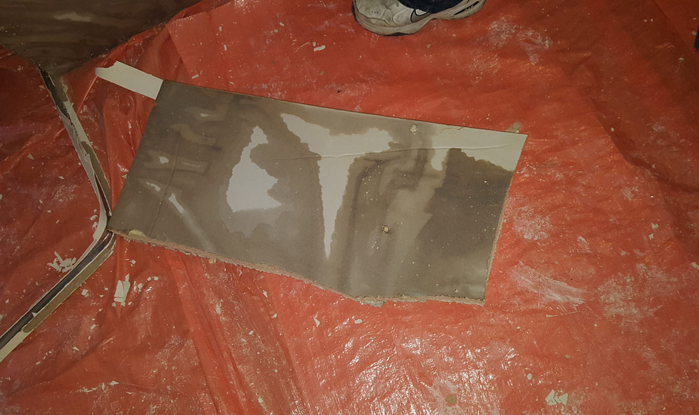 Flood & Water Damage (8)