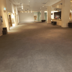 Glenbow Carpet Cleaning 250x250