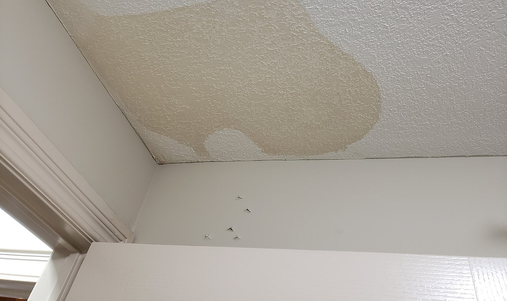 Flood & Water Damage (9)
