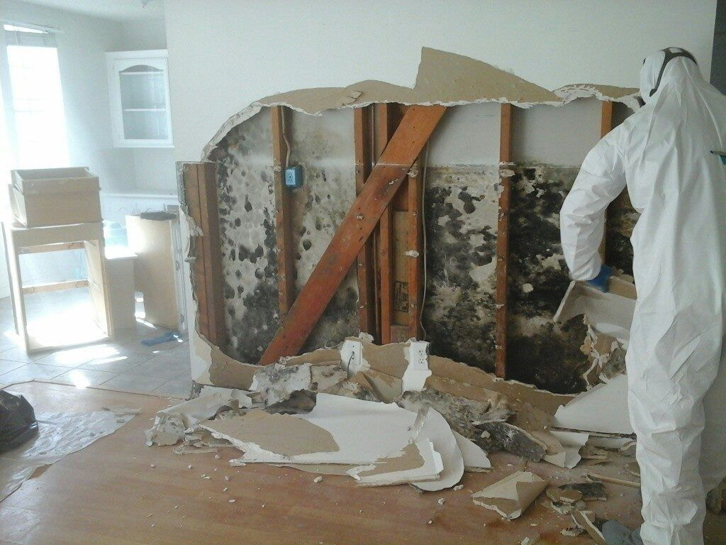 Illustration of Commercial Mold Testing And Remediation